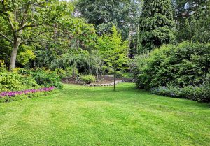 Optimiser l'expérience du jardin à Montgey